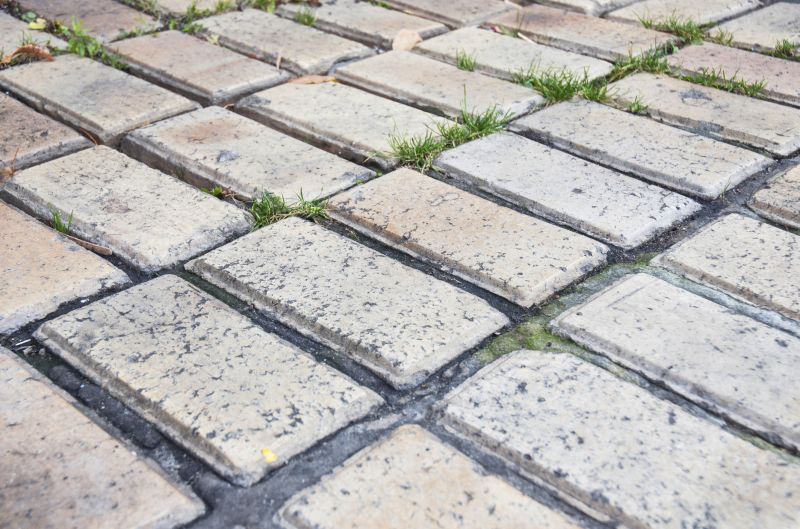 Brick Flatwork Repair in Bellingham, WA