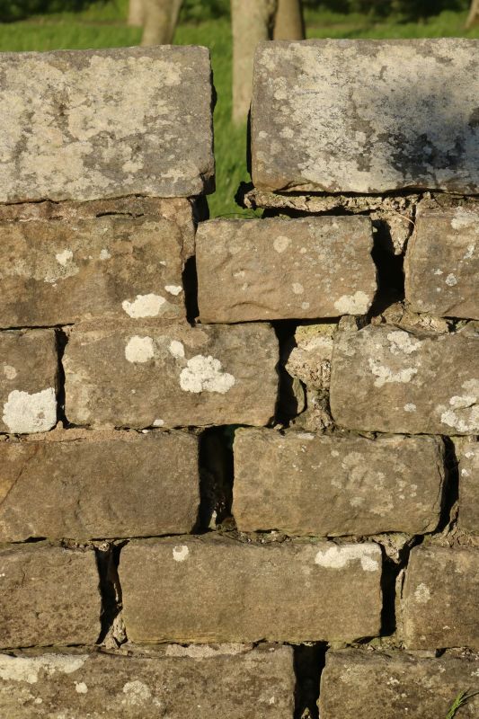 Stone Wall Repair in Lynden, WA